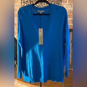 D&G By Diane Gilman Vibrant Blue V-Neck Sweater